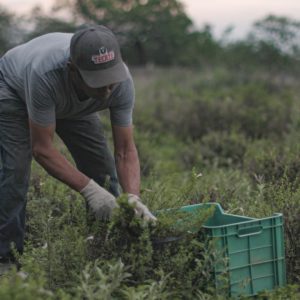 1687476785-mexico_Higueras_Higueras-5.-Agricultor