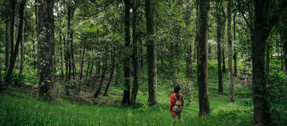 pexels-mikhail-nilov-7683242